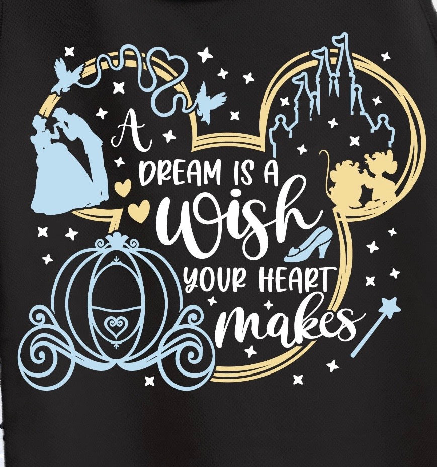A Dream is a Wish your Heart Makes