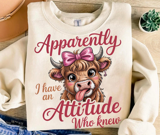 I have an Attitude